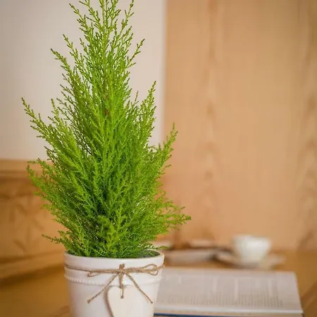 Oda ve Kahvaltı Goralsko Riwiera 3*