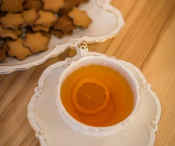 Goralsko Riwiera לינה וארוחת בוקר זקופאנה